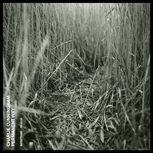 印度美女裸体运动视频
