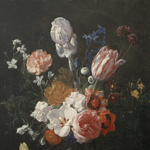 印度美女裸体运动视频
